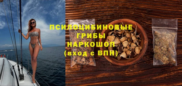 Альфа ПВП Арсеньев